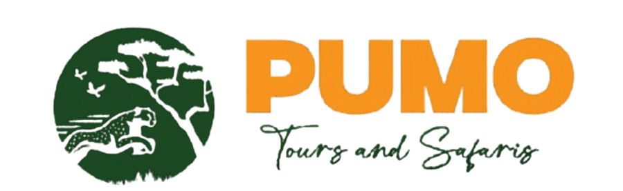 Pumo Tours and Safaris